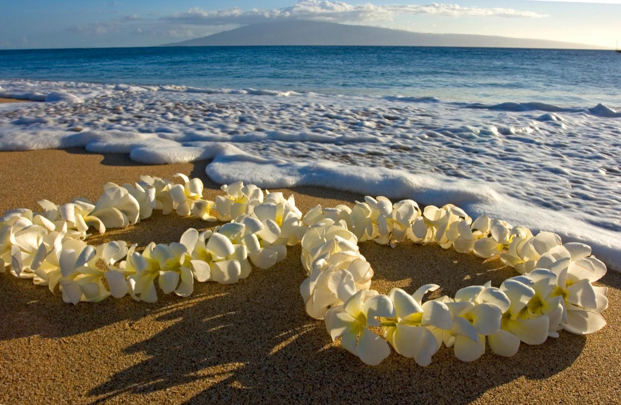 Mountain View Condo, Near Beach, Free Parking! Honolulu Exterior foto
